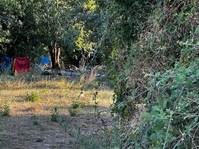 Firenze Riqualificazione Del Giardino Di Via Del Mezzetta Bivacchi