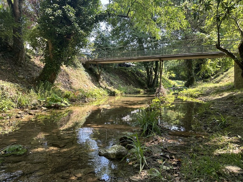 I cammini dell'acqua