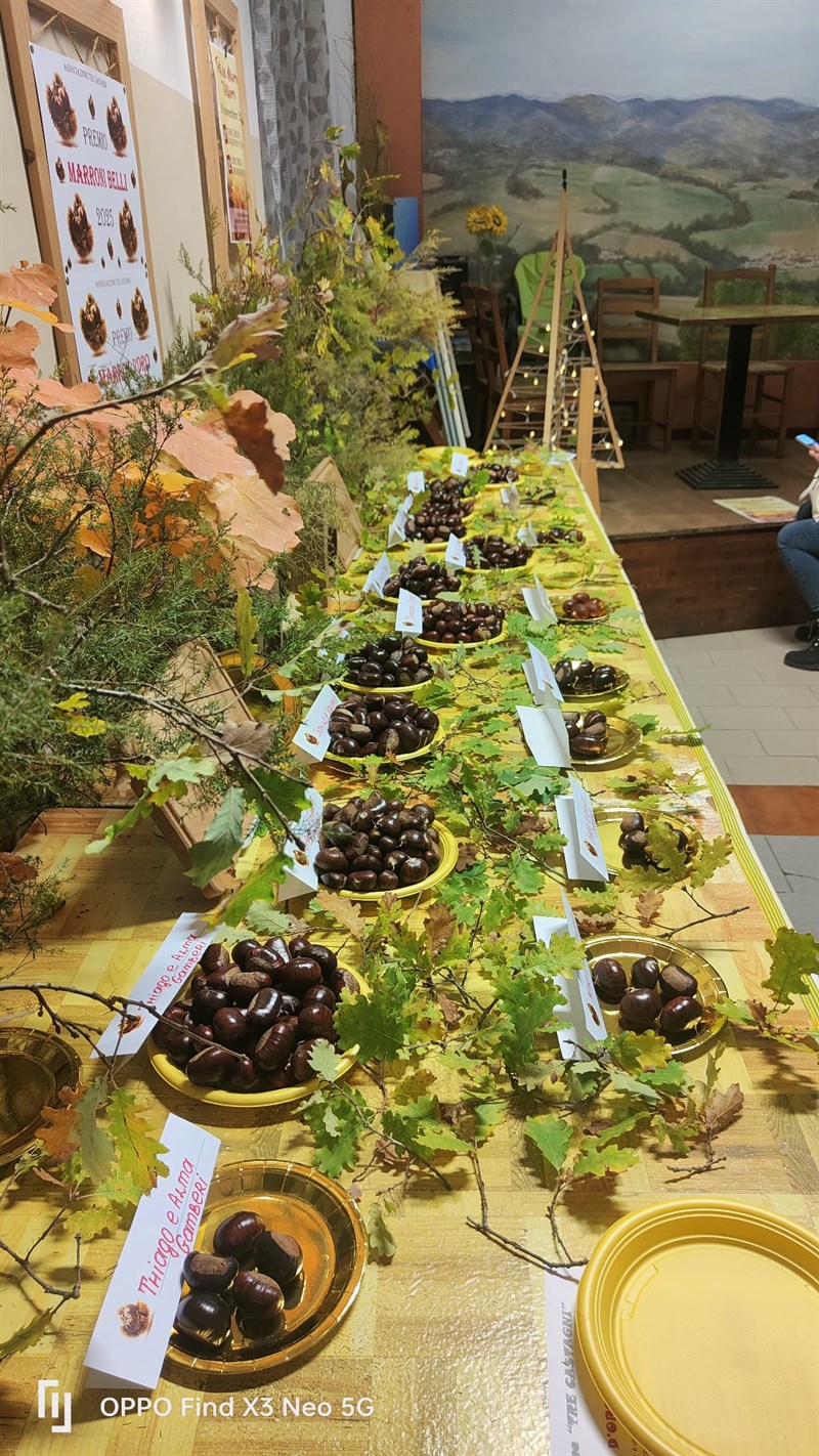 L’esposizione dei marroni