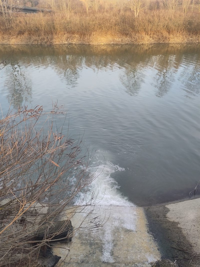 Le immagini inviate dalla lettrice - Lago di bilancino, sversamento fognario - 2