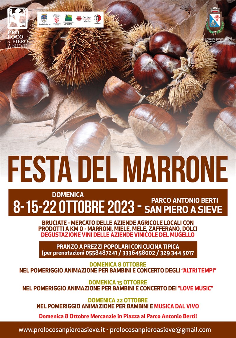 Festa marrone