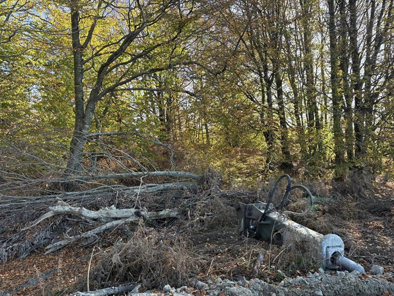 Devastazione ambientale per l'impianto eolico