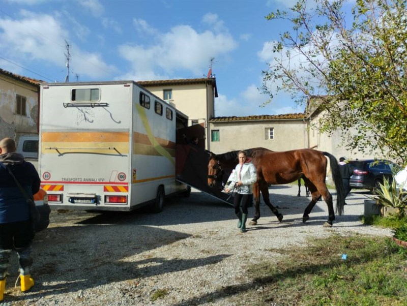 I volontari Anpana salvano gli animali