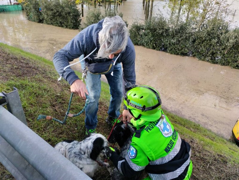 I volontari Anpana salvano gli animali