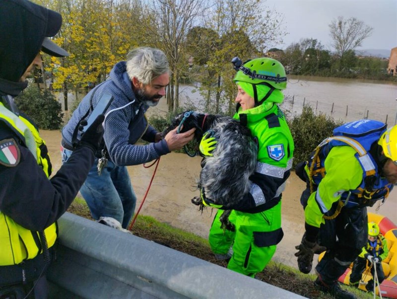 I volontari Anpana salvano gli animali