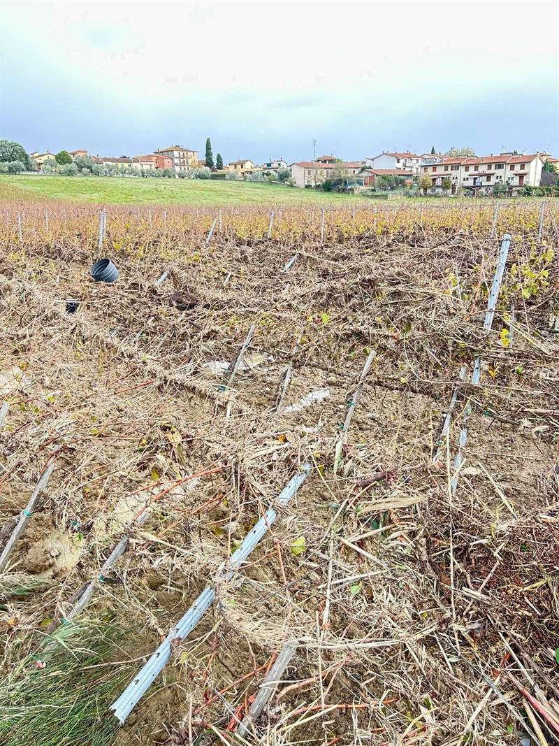 I danni nelle aziende agricole