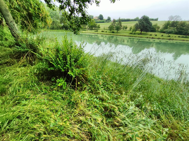 Lago Montelleri