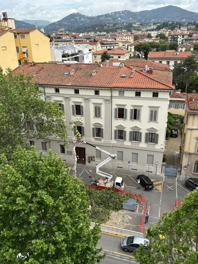 Viale Matteotti oggi