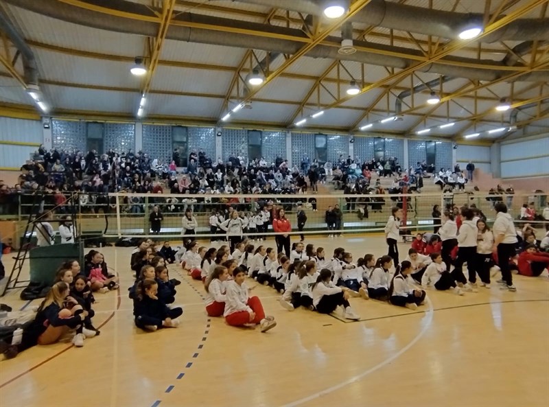 Torneo di pallavolo Carpe Diem 2023 a Pontassieve