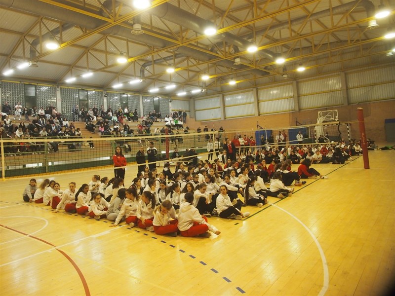 Torneo di pallavolo Carpe Diem 2023 a Pontassieve