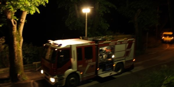 Albero caduto. Foto di repertorio