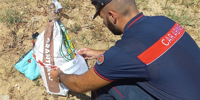 Operazione dei carabinieri forestali a Scandicci. Fermato uomo per foraggiamento illegale di cinghiali