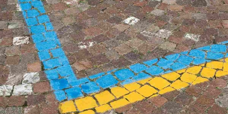 Le strisce blu: chi può non pagarla - www.okmugello.it