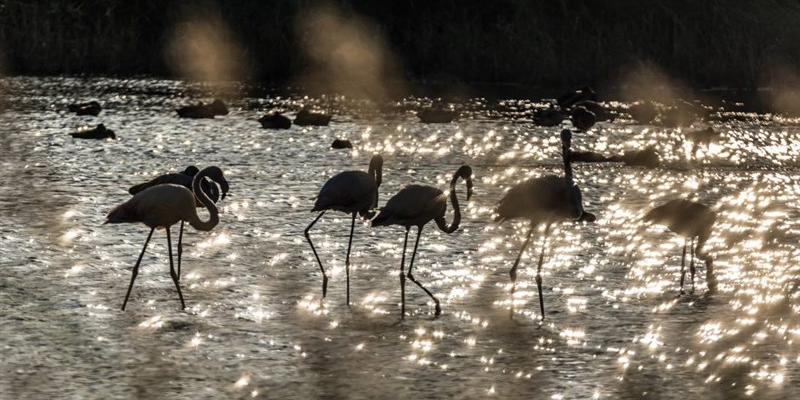 L'Oasi di Gabbianello