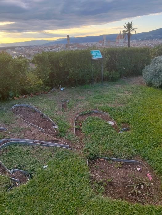 Il giglio abbandonato