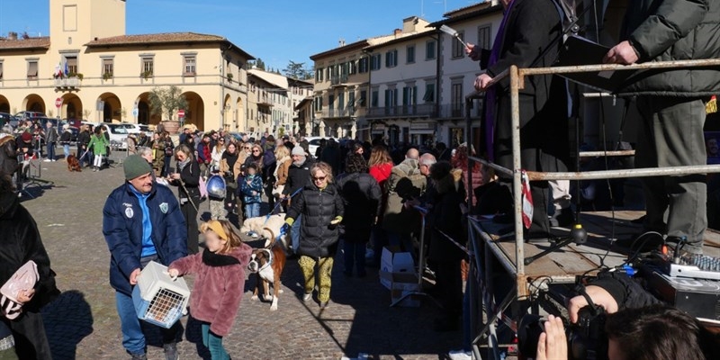 La tradizionale benedizione degli animali in piazza Buondelmonte