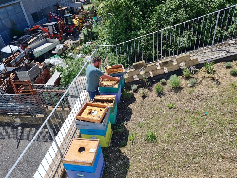 Posa della prima pietra