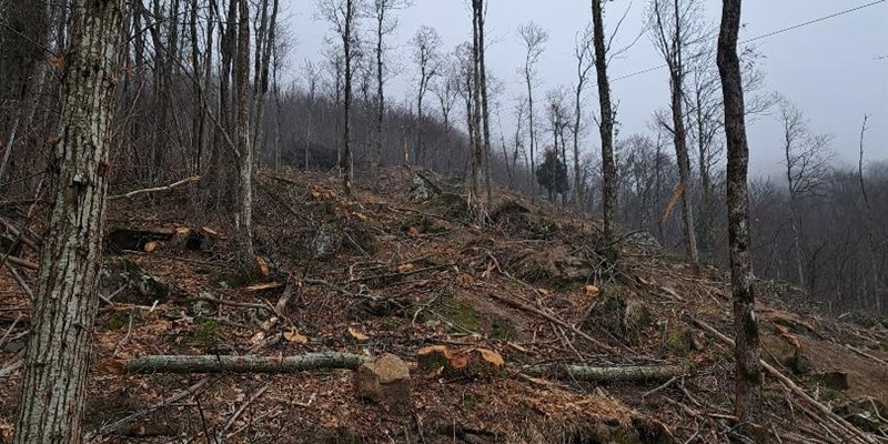 Monte Giogo Villore