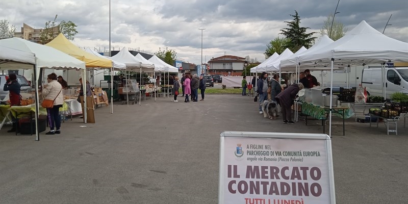 Il mercato contadino di Figline