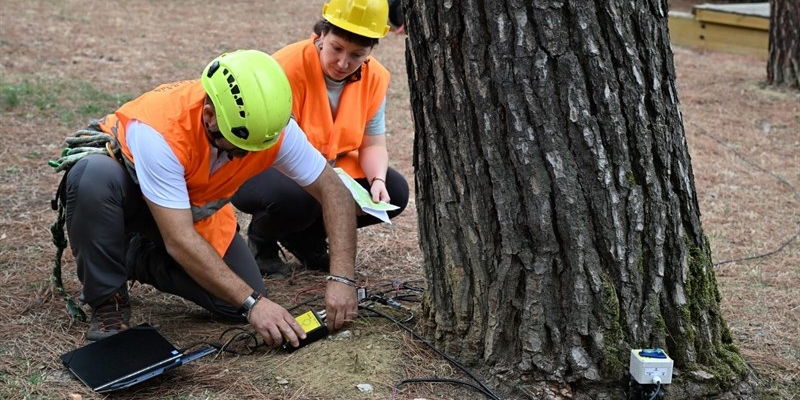 Le prove di trazione degli alberi