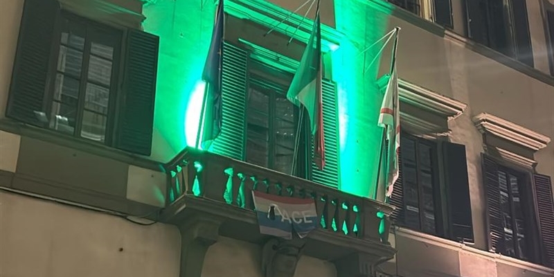 Palazzo Pegaso in verde