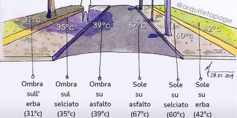 La diversità in città con o senza alberi