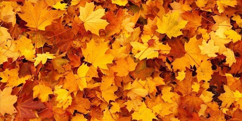 Autunno