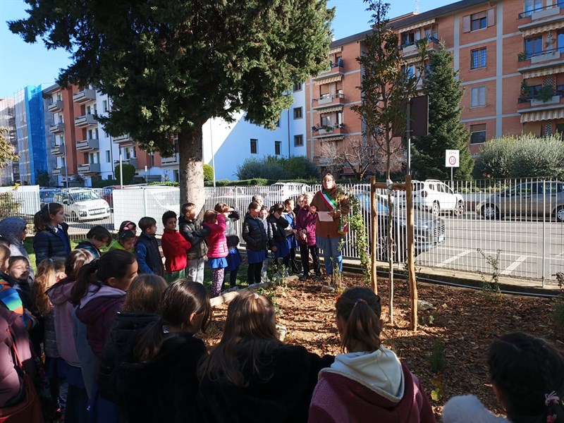 Realizzazione bosco didattico alla scuola primaria Calvino di Pontassieve