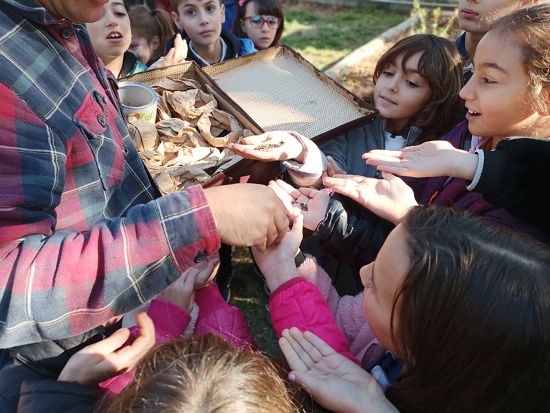 Realizzazione bosco didattico alla scuola primaria Calvino di Pontassieve