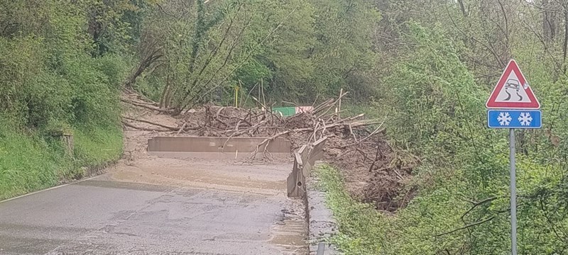 Alcune foto inviate dagli utenti