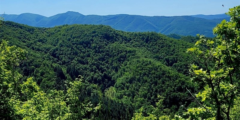 L’Appennino al centro del dibattito. A San Godenzo il convegno contro l’industrializzazione eolica