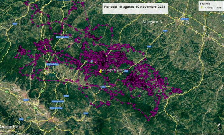 La presenza dell'acquila Gaia in Mugello