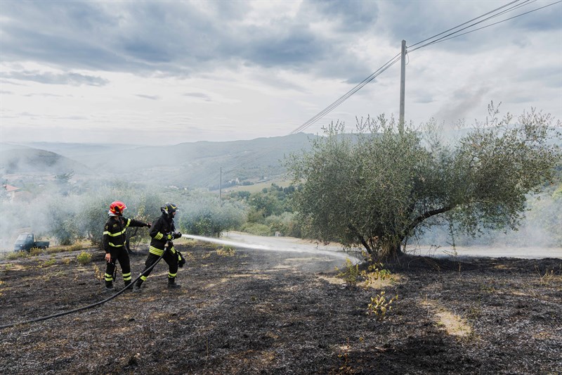 Operazioni di spegnimento dell'incendio a Galiga, nel Comune di Pontassieve