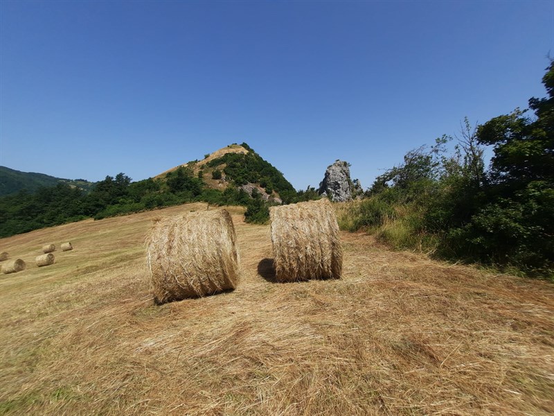 Il Rocchino