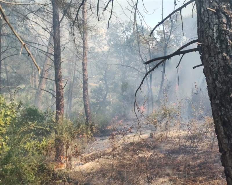 Incendio Monte Beni