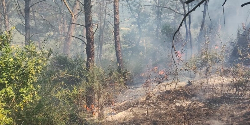Incendio boschivo sul Monte Beni di Fiesole: mobilitazione immediata dei soccorsi