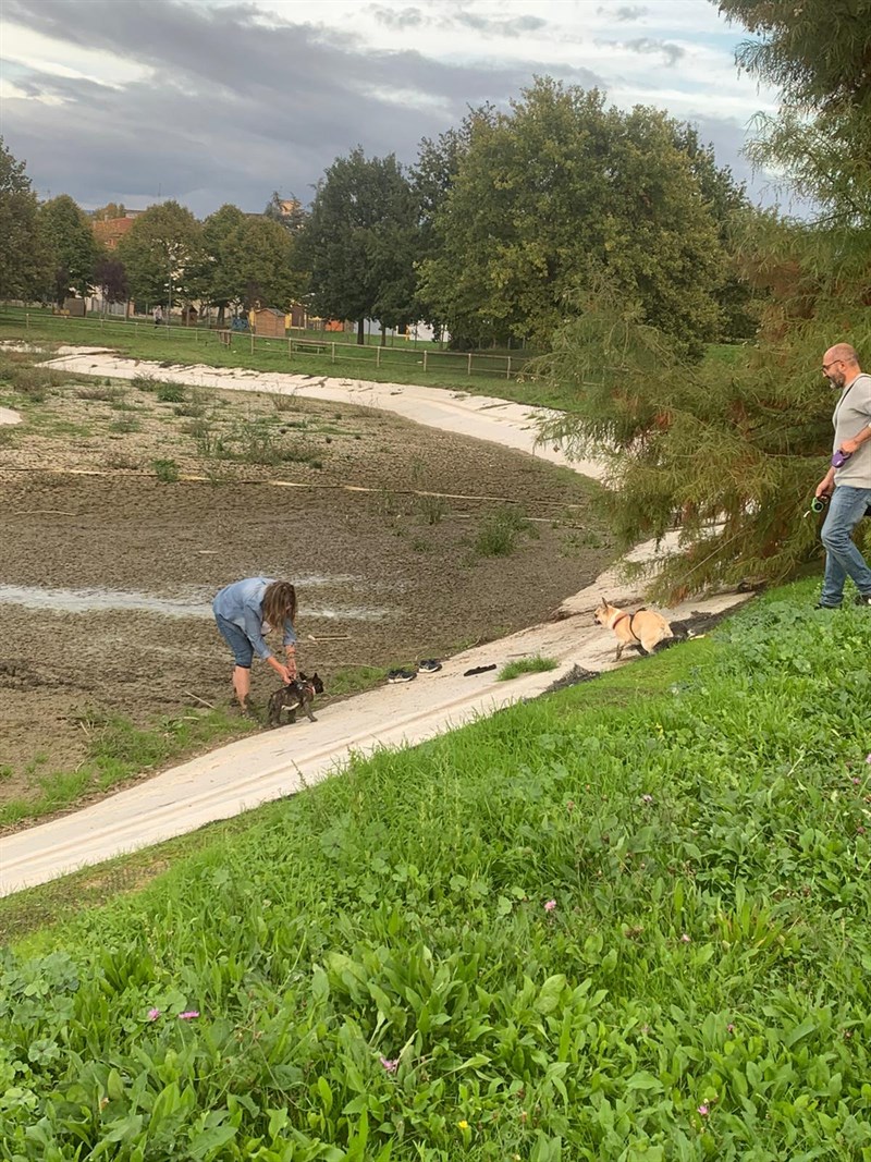 La situazione del parco e il cane salvato