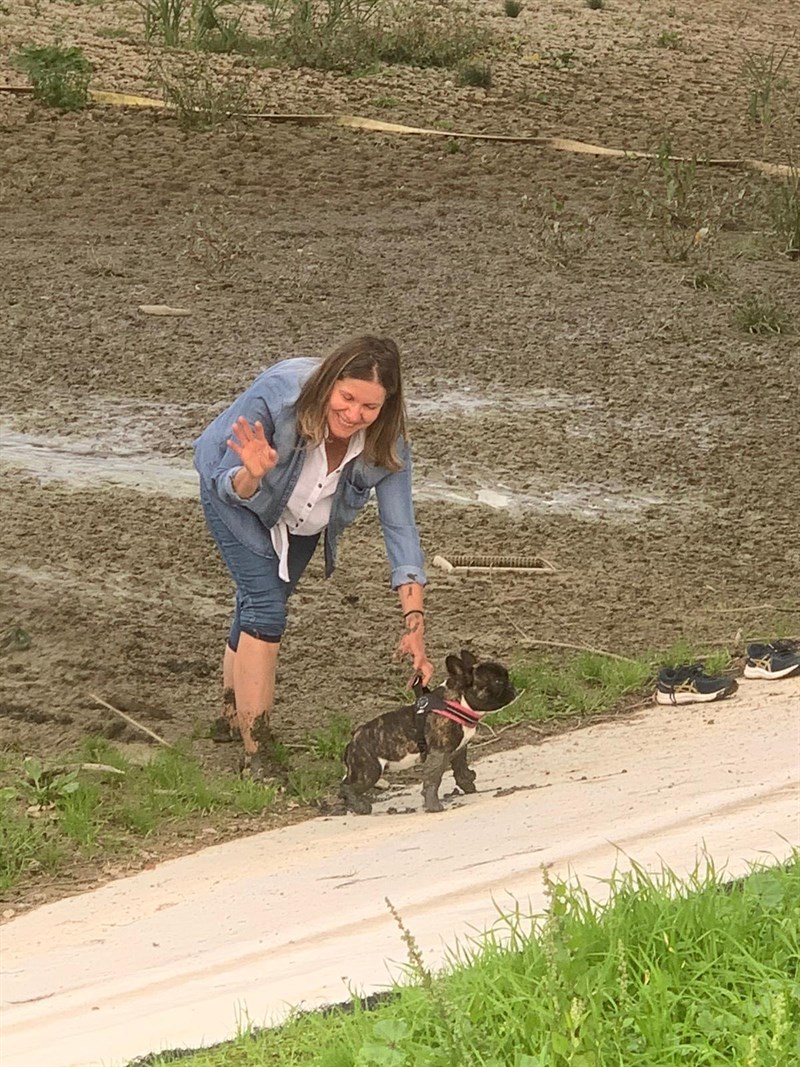 La situazione del parco e il cane salvato