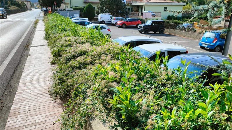 Strade di Scopeti, le foto denuncia di RufinaCheVerrà 