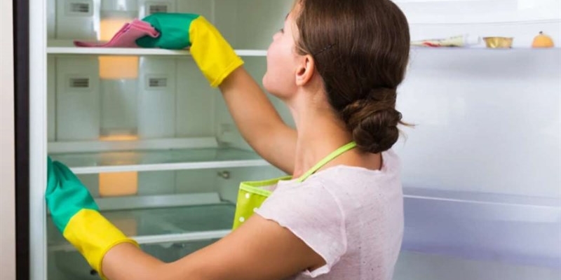 Cattivi odori e muffa in frigorifero? Risolvi con due soli ingredienti, facile e veloce - okmugello.it