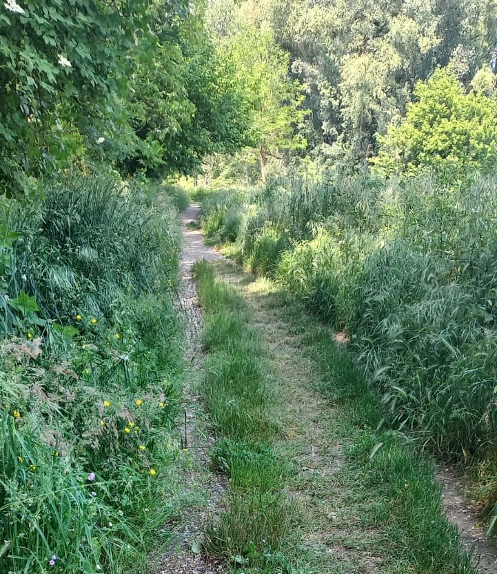 Ciclabile sagginale ponte a vicchio