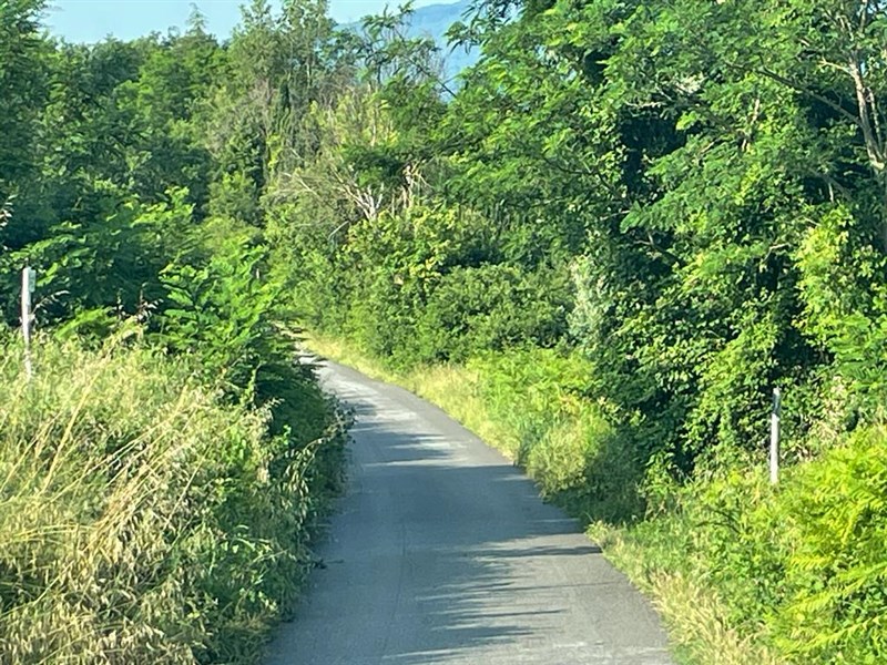 Alcuni scatti fatti dagli utenti