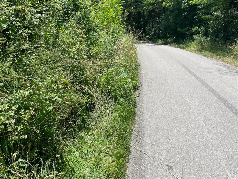 Alcuni scatti fatti dagli utenti