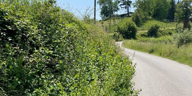 Alcuni scatti fatti dagli utenti