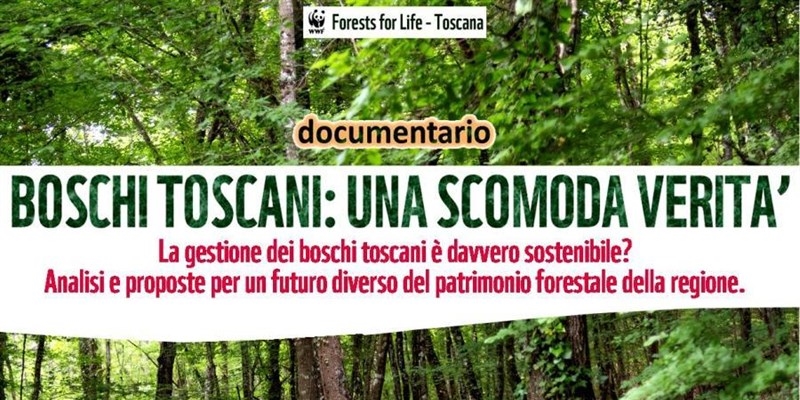 WWF toscana lancia l'allerta. Documentario sulla gestione dei boschi e sfide ambientali