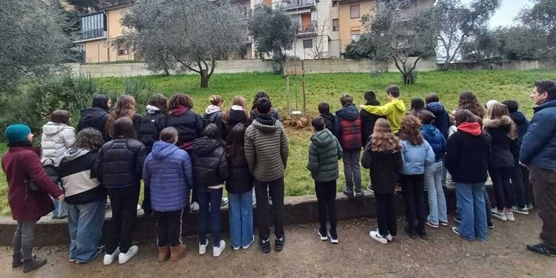 San Casciano. Un albero nel giardino della scuola Ippolito Nievo, simbolo di legalità e cultura antimafia - FOTO