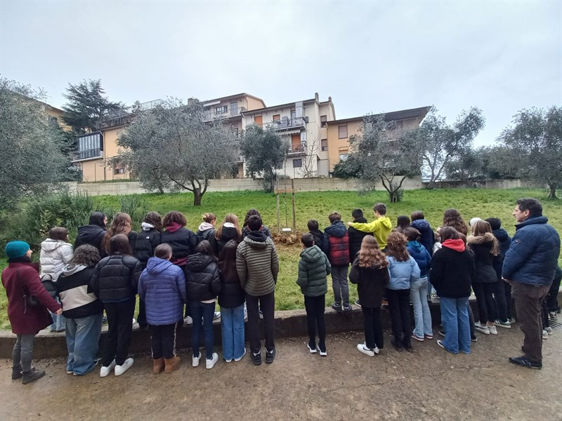 L'albero per Rossella Casini