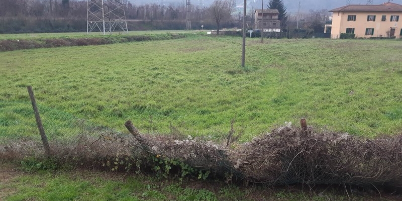 Situazione area cani San Francesco a Gennaio 2023, una foto della lettrice