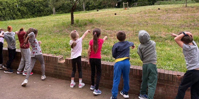 Il lancio delle palline