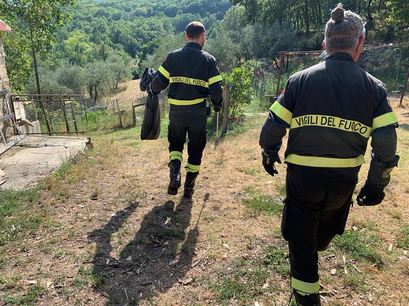 Il lavoro dei Vigili del Fuoco 
Il serpente portato in aperta campagna